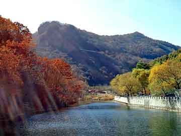 正版澳门天天开彩大全，塔卡裤